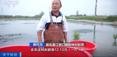 小龙虾越卖越便宜，这些养殖户还在赚钱