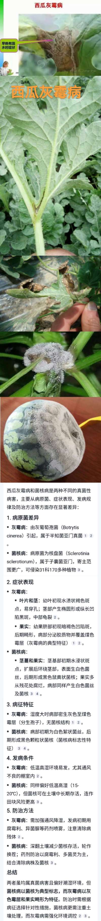 http://st-static1.fz-xfc.com/forums/2025/04/23/17453975972028.jpeg