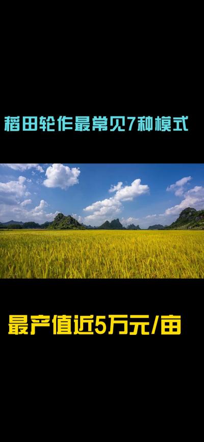 &ldquo;一田多收，藏着农业增收的密码！今天带您1分钟看懂水稻轮作的致富密码