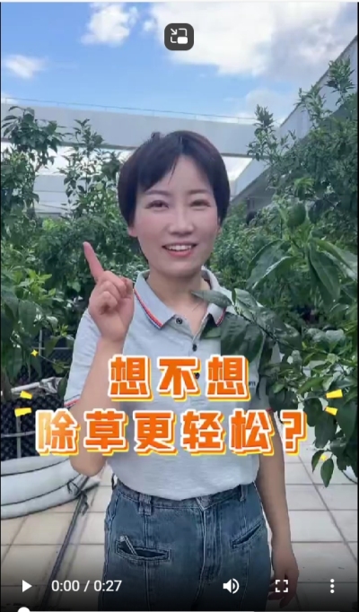 打了除草剂，死草慢，草死了两天又活了，怎么办？我教你一招