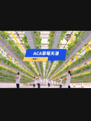 自由升降、追光生长。#ACA草莓天瀑，美爆了！向天再借500平！#ACA可控农业 #华维集团 #数字农业