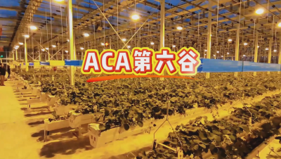 #ACA第六谷 模式，打造#ACA作物工厂，规划建园到栽培种植水肥管理一站式服务！#可控农业 #华维集团