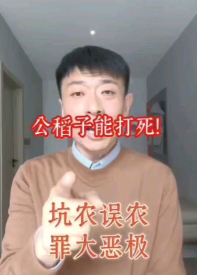 公稻子可以打死？纯属误农！