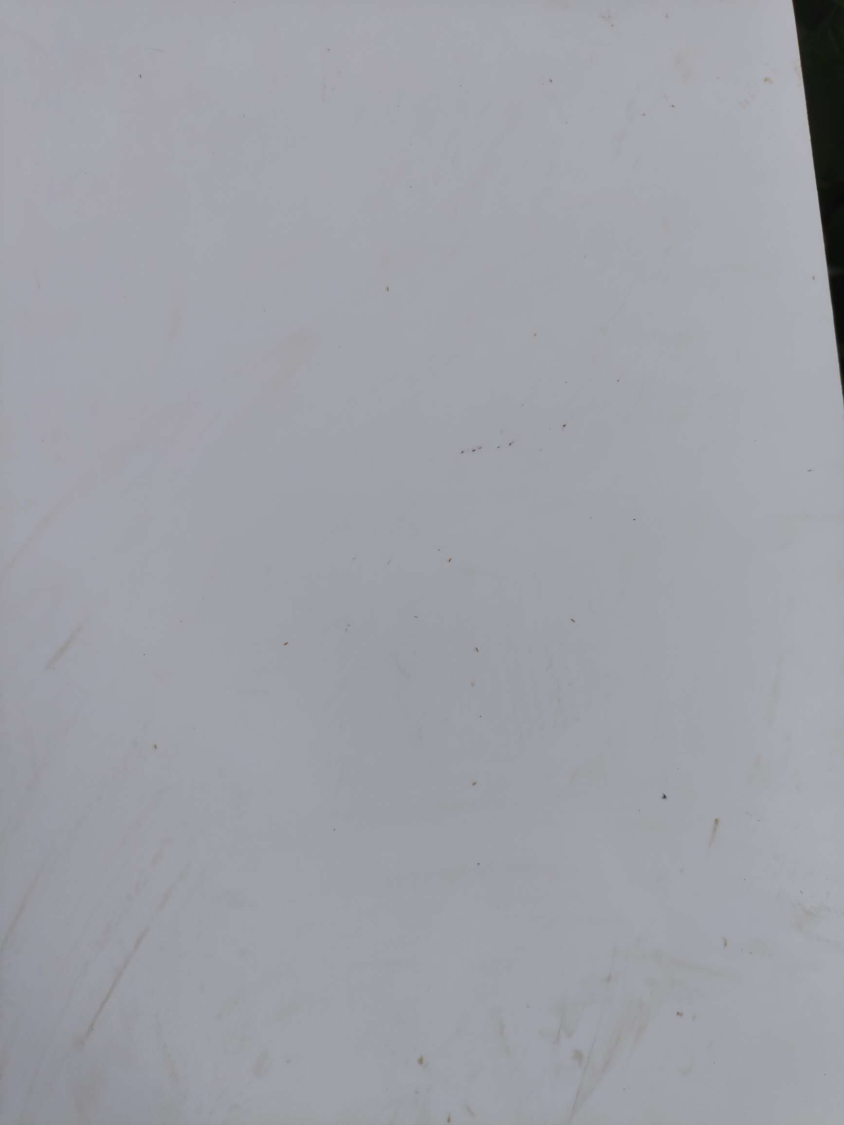 http://st-static1.fz-xfc.com/forums/2025/08/18/17555288245629.jpeg