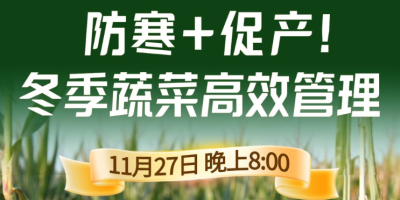 《细说农技》专家张宝林教冬季蔬菜防寒 + 促产高效管理，27 日晚 8 点！
