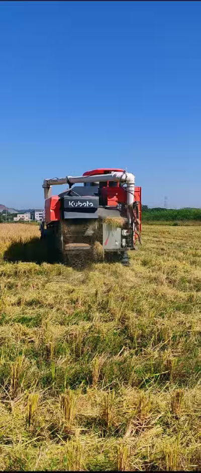 惠州基地，无人拖拉机收水稻了。