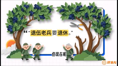 第7节：修剪决定产量（下）&mdash;&mdash;结果树的更新与疏果，课程：《蓝莓&ldquo;高产&rdquo;实战课：从选苗到丰收的10个关键点》