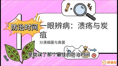 第三节：细菌与真菌&mdash;&mdash;溃疡病与炭疽病，课程：《柑橘十大病虫害：从入门到精通》