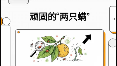 第二节：顽固&ldquo;两只满&rdquo;&mdash;&mdash;红蜘蛛与锈壁虱,课程：《柑橘十大病虫害：从入门到精通》