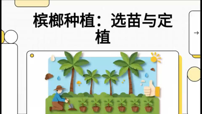 第01节：选苗与定植&mdash;&mdash;&ldquo;苗好一半收，底肥定千秋&rdquo;课程：《槟榔种植：从不懂到精通的10堂必修课》