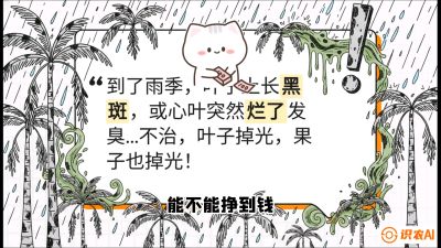 第05节：常见真菌病害&mdash;&mdash;&ldquo;炭疽与烂心，早防值千金&rdquo;《槟榔种植：从不懂到精通的10堂必修课》