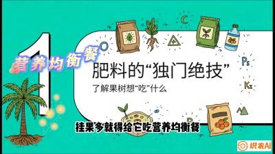 第07节：科学施肥&mdash;&mdash;&ldquo;氮磷钾配好，树壮果不倒