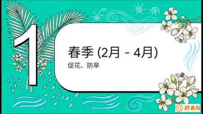 第10节：周年农事日历&mdash;&mdash;&ldquo;跟着节气走，丰产在手头&rdquo;《槟榔种植：从不懂到精通的10堂必修课》