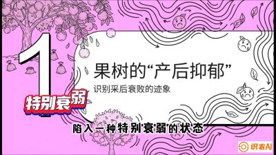 第2节：【冬肥策略】采后&ldquo;月子肥&rdquo;：大小年的精准干预术，课程：《柑橘底肥&ldquo;翻身账&rdquo;：从改土到高产的实战全书》