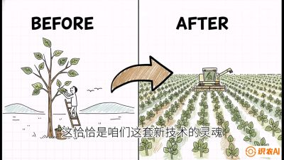 第02节：把树变成草&mdash;&mdash;&ldquo;草本化密植&rdquo;技术，课程：《桑海淘金：桑树高产与蚕桑安全进阶实战课》