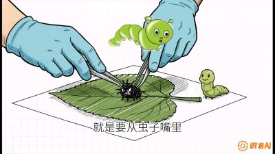 第07节：虫口夺叶（下）&mdash;&mdash;不得不打药时的&ldquo;解毒术&rdquo;，课程：《桑海淘金：桑树高产与蚕桑安全进阶实战课》