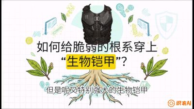 第三节：国产榴莲突围战：根系堡垒，菌根微生态构建与黄金定植窗口，课程：《国产榴莲突围战：从泰国经验到中国实操的8堂必修课（高阶实战版）》