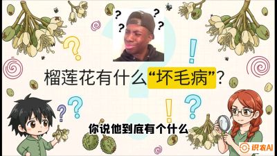 第六节：榴莲的午夜战事，夜间授粉战与花果期避雨策略，课程：《国产榴莲突围战：从泰国经验到中国实操的8堂必修课（高阶实战版）》