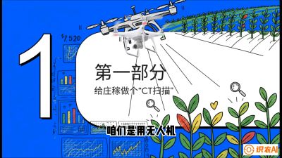 第5节：无人机也能&ldquo;看病抓药&rdquo;&mdash;&mdash;处方图与变量施肥入门，课程：《无人机植保搞钱必修课：从&ldquo;瞎飞&rdquo;到&ldquo;懂行&rdquo;的6步进阶》