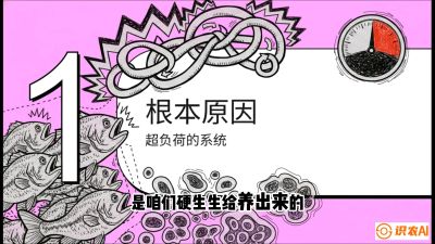 第三节：【爆款单品&middot;加州鲈】从&ldquo;玻璃鱼&rdquo;到&ldquo;摇钱树&rdquo;的通关秘籍，课程：《黄金鳞甲：2025中国淡水鱼高效养殖实战营》