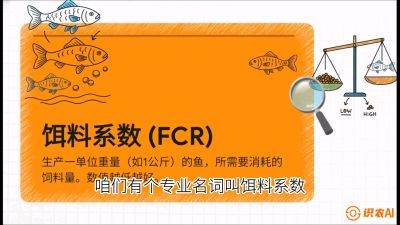 第五节：【高端单品&middot;鳜鱼】&ldquo;饲料鳜&rdquo;技术：打破吃活饵的高成本魔咒，课程：《黄金鳞甲：2025中国淡水鱼高效养殖实战营》