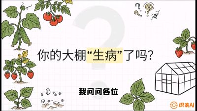 第2节（解毒篇）： 大棚里的&ldquo;红白绿&rdquo;警报&mdash;&mdash;读懂土壤盐渍化的求救信号，课程：《揭秘土壤的秘密：让土地帮你赚钱》#识农AI