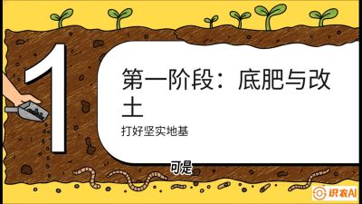 第6节（统筹篇）： 省钱又增产的&ldquo;黄金配比&rdquo;&mdash;&mdash;不同作物全年的养土实操方案，课程：《揭秘土壤的秘密：让土地帮你赚钱》#识农AI