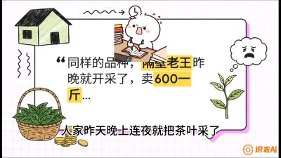 第01节（抢早篇）：与老天爷抢饭吃：如何利用&ldquo;温差阈值&rdquo;让头采茶提前5天上市？，课程：《茶金时代：从&ldquo;看天吃饭&rdquo;到&ldquo;精准控局&rdquo;的茶叶高产提质实战课》