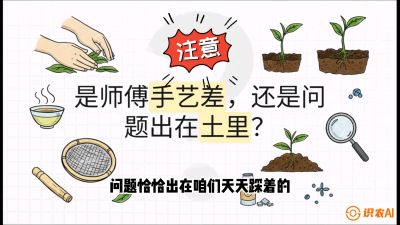 第02节（土肥篇）：告别&ldquo;苦涩水味&rdquo;：揭秘&ldquo;碳氮比&rdquo;调控术，种出自带兰花香的好茶底，课程：《茶金时代：从&ldquo;看天吃饭&rdquo;到&ldquo;精准控局&rdquo;的茶叶高产提质实战课》