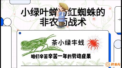 第03节（虫害篇）：看不见的吸血鬼：小绿叶蝉与红蜘蛛的&ldquo;非农药&rdquo;团灭战术（抗性治理），课程：《茶金时代：从&ldquo;看天吃饭&rdquo;到&ldquo;精准控局&rdquo;的茶叶高产提质实战课》