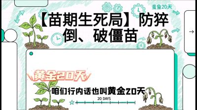 第2节：【苗期生死局】防猝倒、破僵苗，决定后期产量的&ldquo;黄金20天&rdquo;，课程：《辣椒种植实战特训营，从工业辣椒到精品小米辣，教你如何把&ldquo;草&rdquo;种成&ldquo;金&rdquo;》