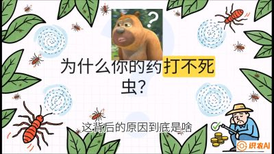 第4节：【虫害歼灭战】打不死的蓟马、隐形的茶黄螨：抗性时代的&ldquo;混配绝杀&rdquo;，课程：《辣椒种植实战特训营，从工业辣椒到精品小米辣，教你如何把&ldquo;草&rdquo;种成&ldquo;金&rdquo;》