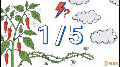 第6节：【花果爆发术】落花落果的五大元凶，与&ldquo;三喷一保&rdquo;坐果黑科技，课程：《辣椒种植实战特训营，从工业辣椒到精品小米辣，教你如何把&ldquo;草&rdquo;种成&ldquo;金&rdquo;》