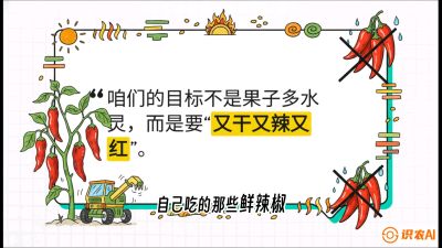 第7节：【工业辣椒专场】追求极致辣度！干物质提升与机械化采收的&ldquo;催红秘籍&rdquo;，课程：《辣椒种植实战特训营，从工业辣椒到精品小米辣，教你如何把&ldquo;草&rdquo;种成&ldquo;金&rdquo;》