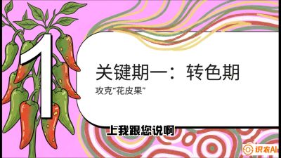 第8节：【小米辣线椒专场】颜值即正义！防花皮、防炭疽，打造收购商抢着要的&ldquo;精品果&rdquo;，课程：《辣椒种植实战特训营，从工业辣椒到精品小米辣，教你如何把&ldquo;草&rdquo;种成&ldquo;金&rdquo;》
