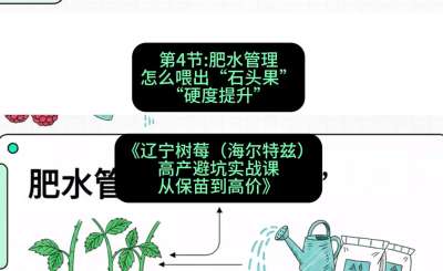 第四节： 肥水管理&mdash;&mdash;怎么喂出&ldquo;石头果&rdquo;（硬度提升），课程：《辽宁树莓（海尔特兹）高产避坑实战课：从保苗到高价》