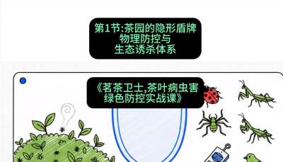 第01节：茶园的&ldquo;隐形盾牌&rdquo;&mdash;&mdash;物理防控与生态诱杀体系，课程：《茗茶卫士&mdash;&mdash;茶叶病虫害绿色防控实战课》#识农AI