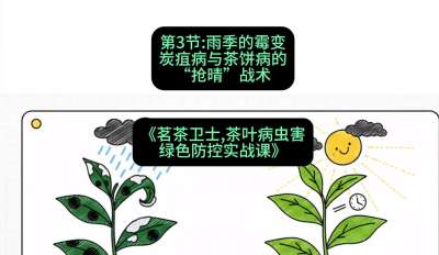 第03节：雨季的霉变&mdash;&mdash;炭疽病与茶饼病的&ldquo;抢晴&rdquo;战术，课程：《茗茶卫士&mdash;&mdash;茶叶病虫害绿色防控实战课》#识农AI