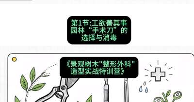 第01节：工欲善其事&mdash;&mdash;园林&ldquo;手术刀&rdquo;的选择与消毒，课程：《景观树木&ldquo;整形外科&rdquo;造型实战特训营》#识农AI