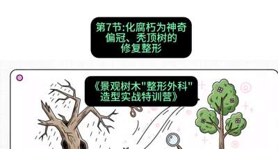 第07节：化腐朽为神奇&mdash;&mdash;偏冠、秃顶树的修复整形，课程：《景观树木&ldquo;整形外科&rdquo;造型实战特训营》#识农AI