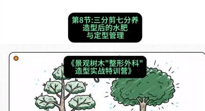 第08节：三分剪七分养&mdash;&mdash;造型后的水肥与定型管理，课程：《景观树木&ldquo;整形外科&rdquo;造型实战特训营》#识农AI