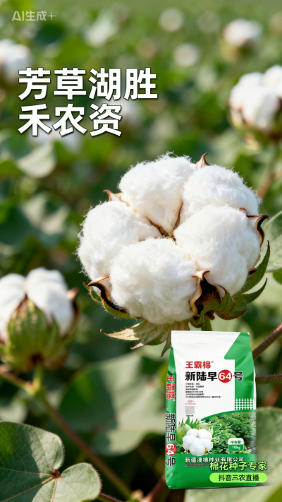 新疆棉花澳棉种业王霸棉，还有其它都好