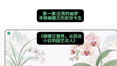 第一节：庄周的幽梦：寻根蝴蝶兰的前世今生，课程：《蝴蝶兰雅养六讲：从阳台小白到园艺达人》#识农AI