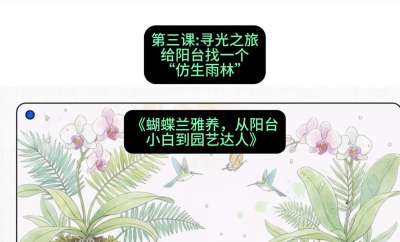 第三节：寻光之旅：给阳台找一个&ldquo;仿生雨林&rdquo;，课程：《蝴蝶兰雅养六讲：从阳台小白到园艺达人》#识农AI