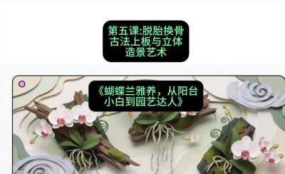 第五节：脱胎换骨：古法上板与立体造景艺术，课程：《蝴蝶兰雅养六讲：从阳台小白到园艺达人》#识农AI