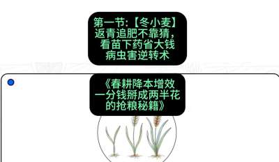 第一节：【冬小麦】返青追肥不靠猜，看苗下药省大钱