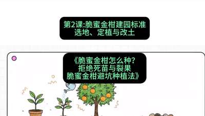 第2节：脆蜜金柑建园标准：选地、定植与改土，课程：《脆蜜金柑怎么种？拒绝死苗与裂果，脆蜜金柑8步避坑种植法》#识农AI
