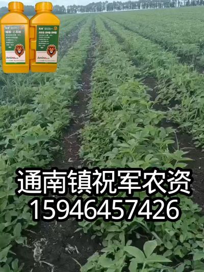 大豆苗前封闭，可封红根苋菜，灰菜，兰花菜，野豆子，捞豆秧等恶性杂草，封杀兼备的高端产品。