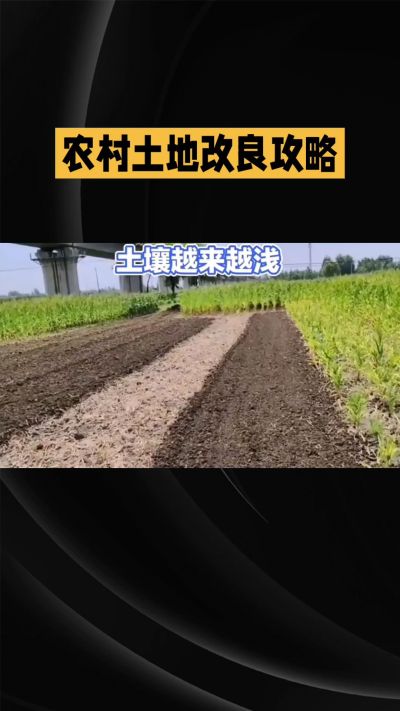 1. 先搞懂：你到底要改良哪块地、种什么
 
- 土土土在哪里？
就是你自家农田、菜地、果园，哪块地想种庄稼，就测哪块地的土。
​
- 有水没有水？
有水能浇：改良更省事，施肥、调酸碱都好操作。
没水