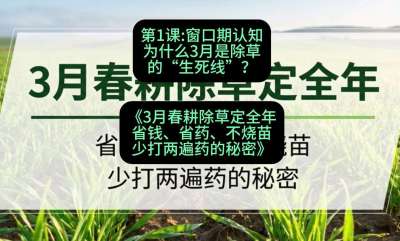 第1节：窗口期认知，为什么3月是除草的&ldquo;生死线&rdquo;？，课程：《3月春耕除草定全年：省钱、省药、不烧苗、少打两遍药的秘密》